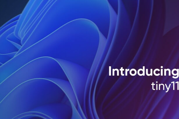 Tiny11 25H2