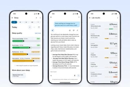 Entrenador personal de salud Fitbit interfaz usuario