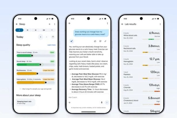 Entrenador personal de salud Fitbit interfaz usuario