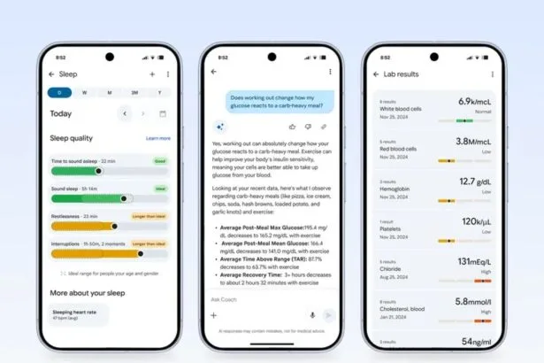 Entrenador personal de salud Fitbit interfaz usuario