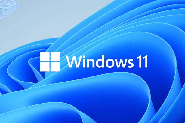 Pantalla de ordenador con error en la actualización de Windows 11