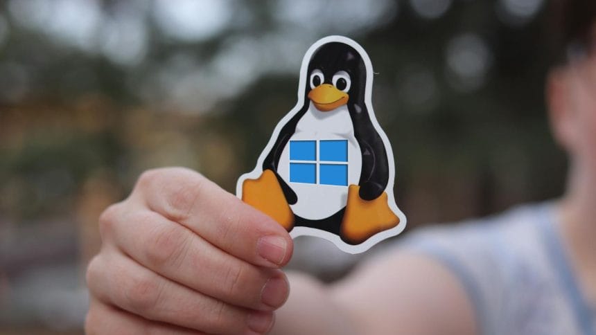Interfaz de WSL2 mostrando el kernel Linux 6.18 LTS en Windows