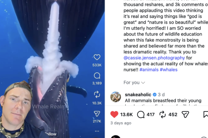 Vídeo generado por IA de una ballena y su cría