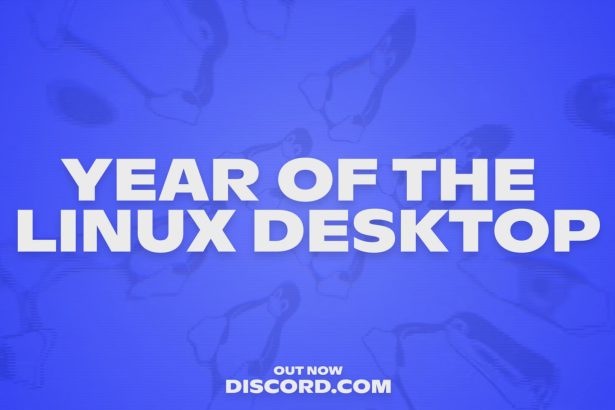Captura del cliente de Discord en Linux mostrando opciones de audio y vídeo